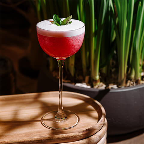 Clover Club