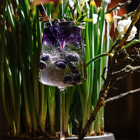 Lavender Violet Spritz